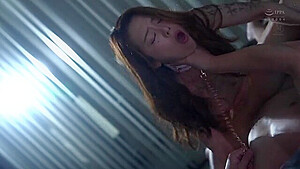 x1x8D412C7C5BD3974550