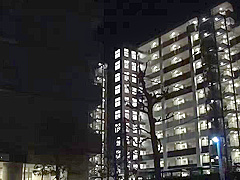 240-wguuhy-ouhsgy-poo-jul